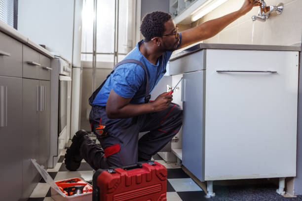 Best Local Plumber Services  in Warrenvle, IL